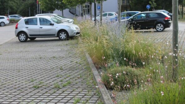 lokale Versickerung - ein Thema beim "Natur im Garten" Gemeindefachtag