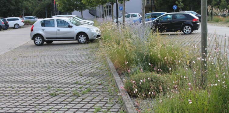 lokale Versickerung - ein Thema beim "Natur im Garten" Gemeindefachtag