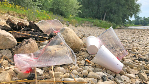 Einwegplastiklbecher am Fussufer