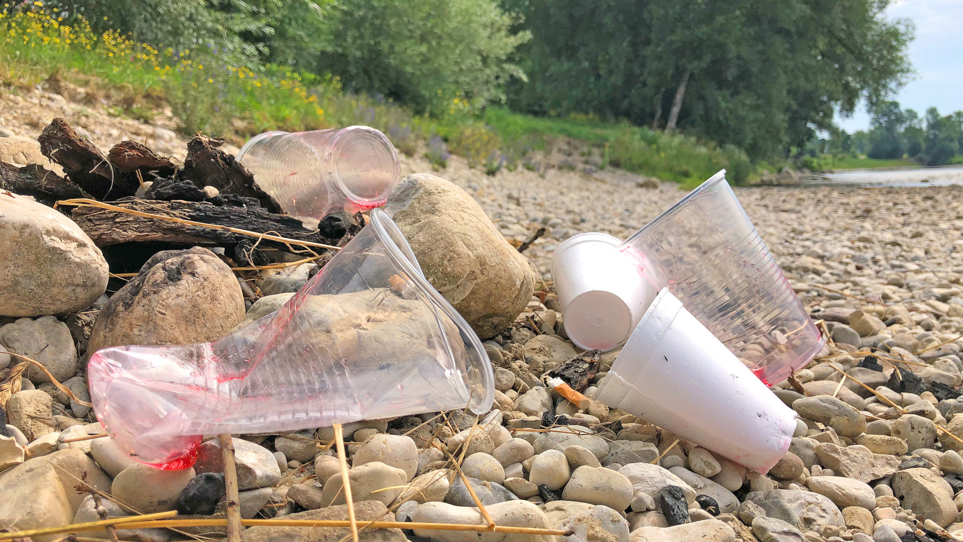 Plastikmüll am Ufer